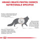 Royal Canin Hepatic Cat – Hrană Uscată Dietetică pentru Pisici cu Afecțiuni Hepatice, 4 kg
